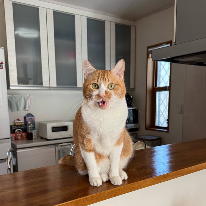 37347c94 881f 43da a8e2 38125e164859 1769389303199