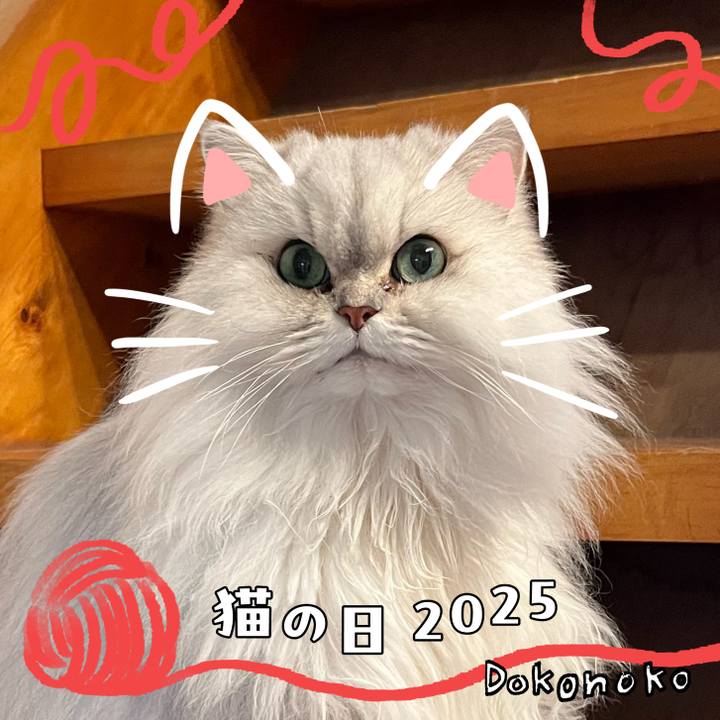 3734ae30 004b 49e6 8b6f b7321eda81e8 1740207011827