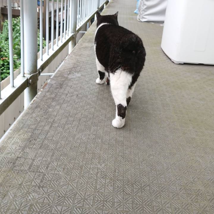 3734c48f 3ba4 4ef9 958b f5668391aa0f 1624572282696