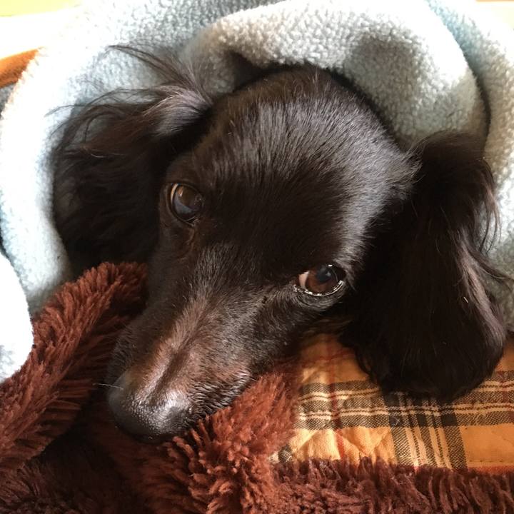 3734ec97 04fd 47c9 847a 8b2602b039ac 1539999903332