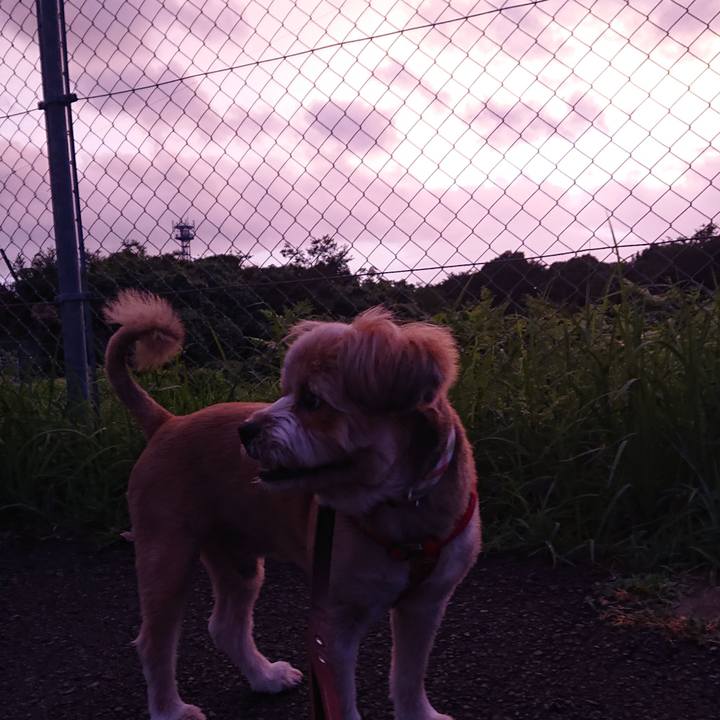 37350adb b5f8 47eb 8999 1f70344c1631 1598993506223