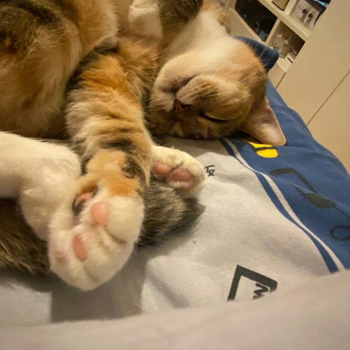 37352bdc 939c 40df 8307 0a24ee9a2f7f 1635869202077