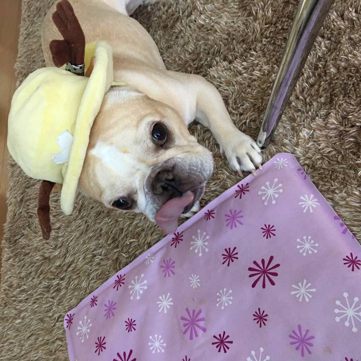 37352ddc 38e6 46c8 86a0 fa63a6d48fd2 1514362950220