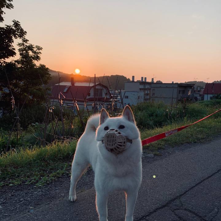 3735587b 2da8 423b b63d e0d008e04312 1593807565770