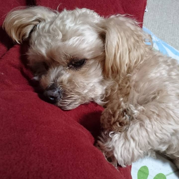 37357d7d 30c2 4c28 80bb 80ed1cd9074c 1583068088001