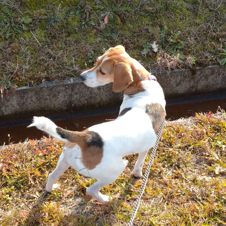 3735a535 f2af 43b1 80eb 9c910459d140 1577257528544