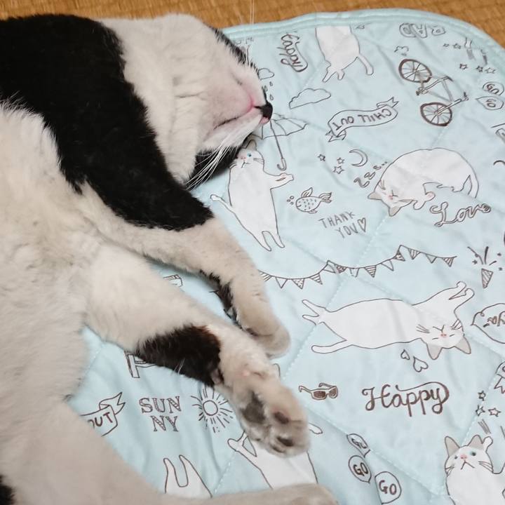 3735e0ab fb6b 4896 b351 5fb1dddae117 1558275917149