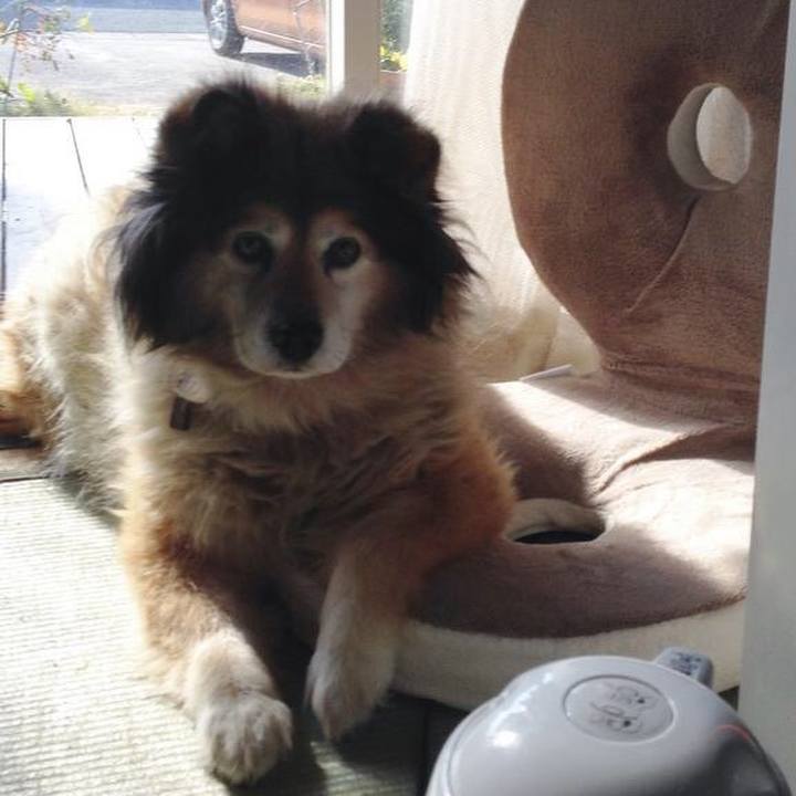 3735ef47 cecd 4adf 917e 6b793fa565ad 1584334787030