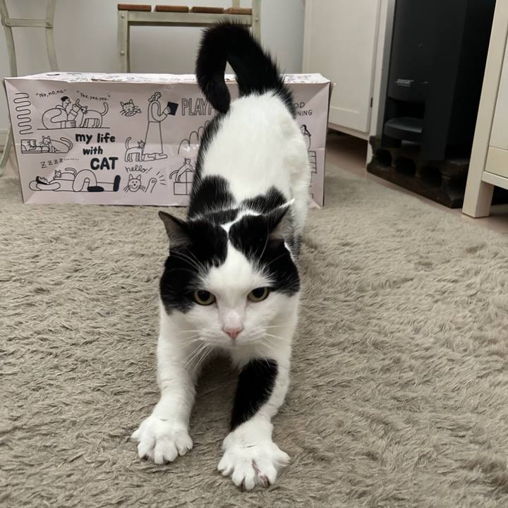 3736399f d2ff 4eaf 9779 8ec852bf180e 1770851588490