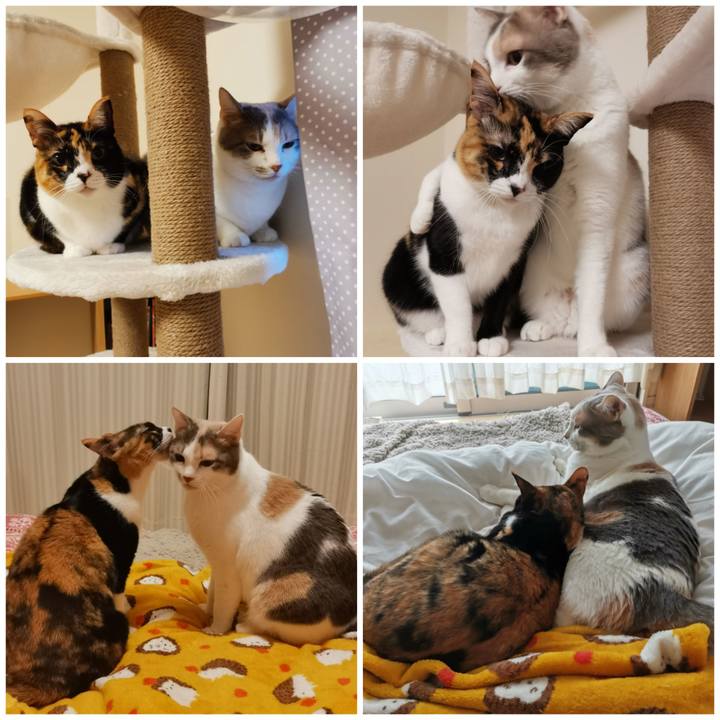 37363eca 95af 4409 ba3d 2e9f2e3dc103 1645673574540