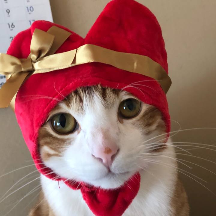 37364da9 9cb0 4c2f b4b4 3f3aee2c12c0 1518237392689