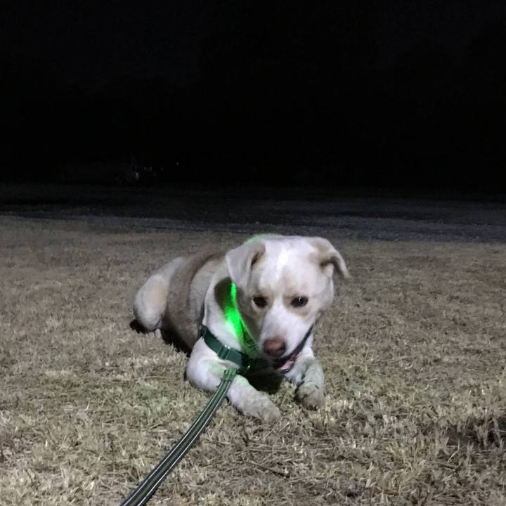 373672ec 934d 4591 9d8a 409578af51c5 1515753121904