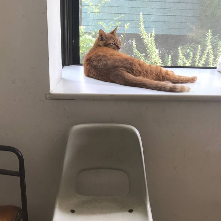 373687a9 b954 4cab ba82 7d17030c250b 1590831804415