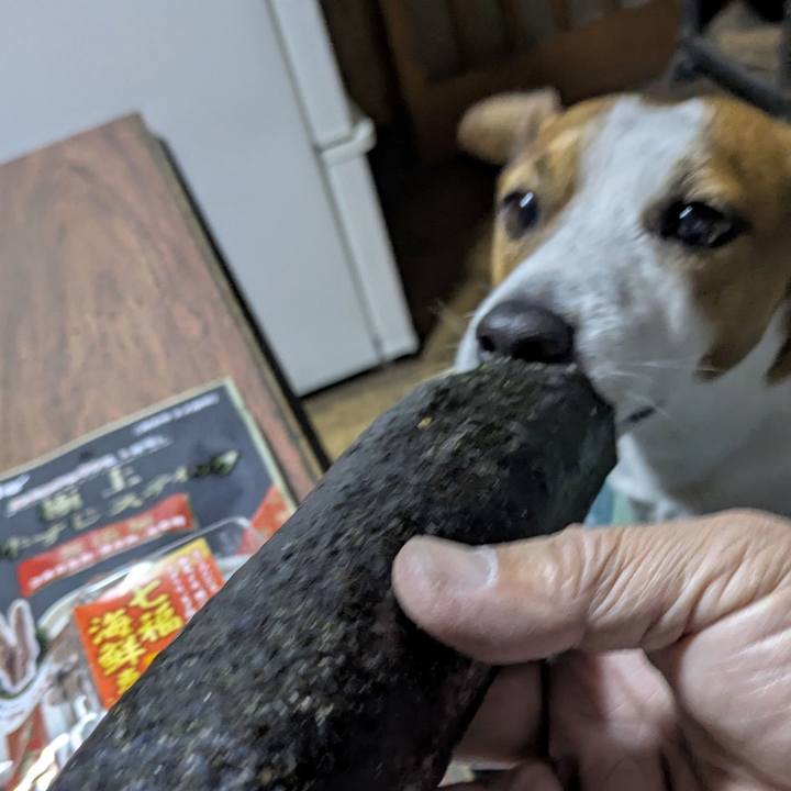 3736b133 56b0 4405 8cab e77d0cc448fd 1770171605429