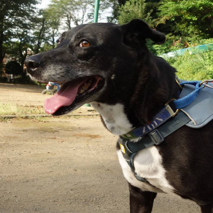 3736c5db a52c 46c0 a0fd f37ded3c8b3f 1725839166890