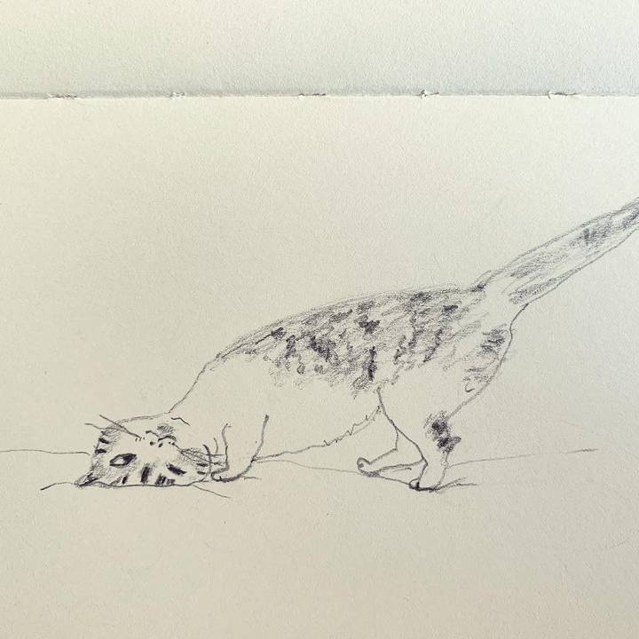 3736d67b f253 4419 b6a0 cc1d5db5bd0f 1646612103693