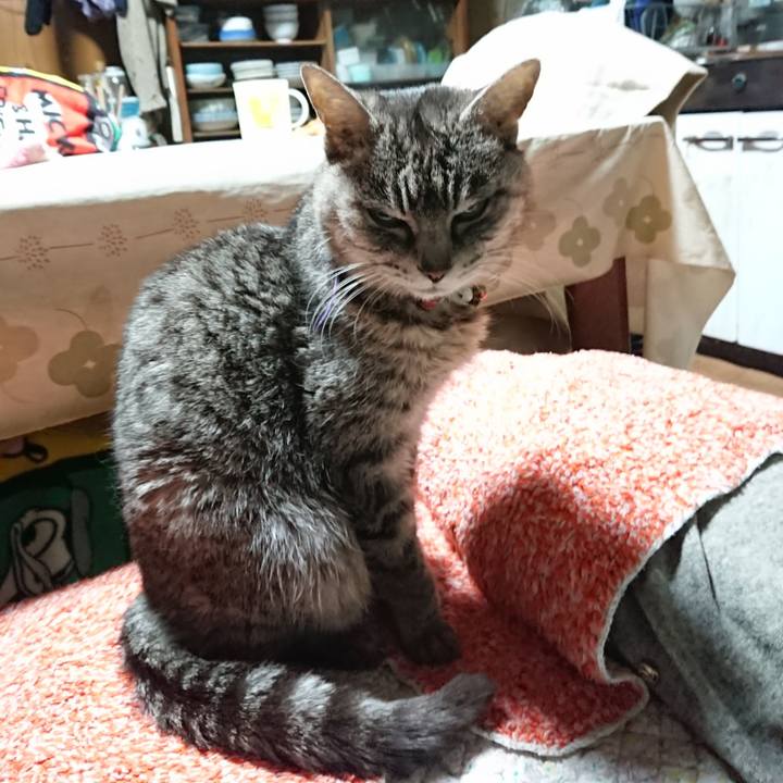 3736e828 a016 49e6 a7c2 751ace5fc2aa 1581969162542