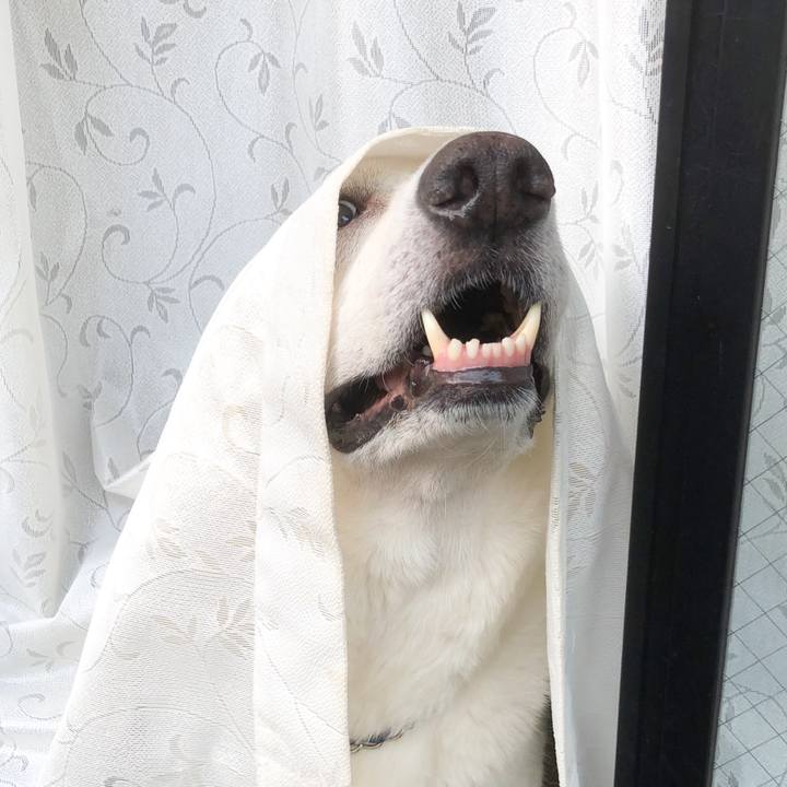 373707c7 7003 4a74 9dff 2a29bd599ca3 1531472434738