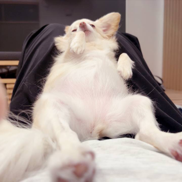 373713ab c458 4138 adf5 ccae6541fd23 1752495152532