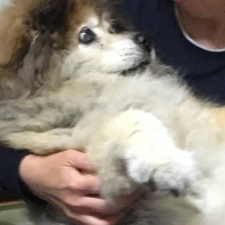 37376313 9d65 42b3 86dd e89eaf9827d7 1623628369035