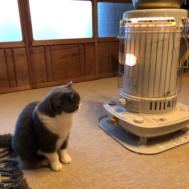 37377e90 5525 467d 8cb1 aab9c55fabe9 1574291985116