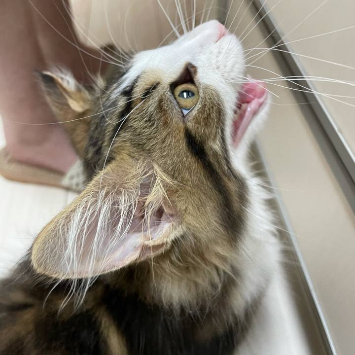 3737b184 bd4d 4cf8 a561 4d6c3336ee3e 1633032350187