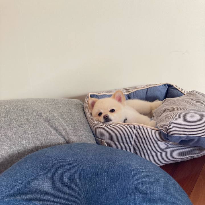 37380305 2113 4615 bf59 80d200952542 1626735099781