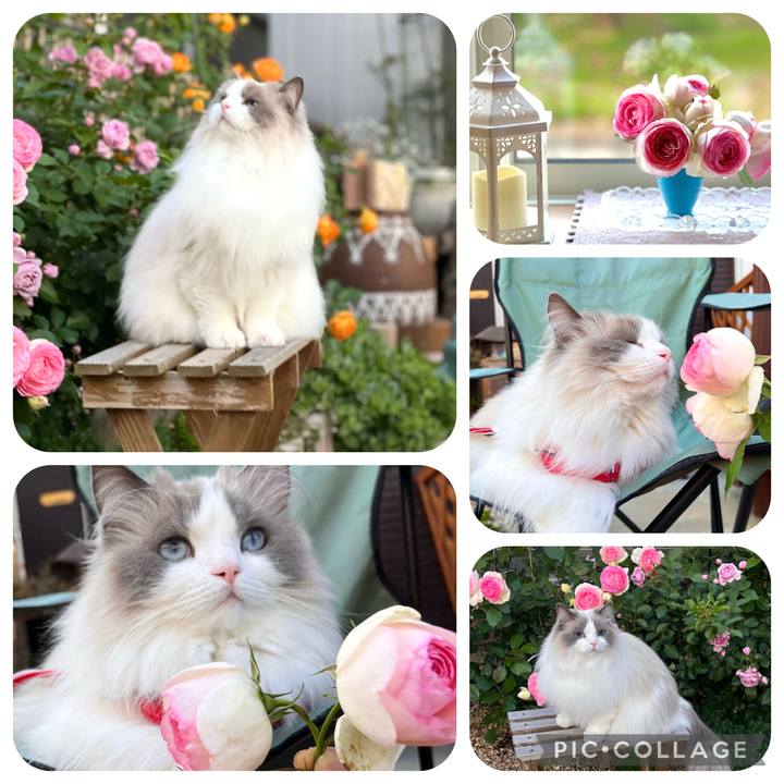 3738383e 1805 492c 966b 45f0e3ecb9ac 1683668381964