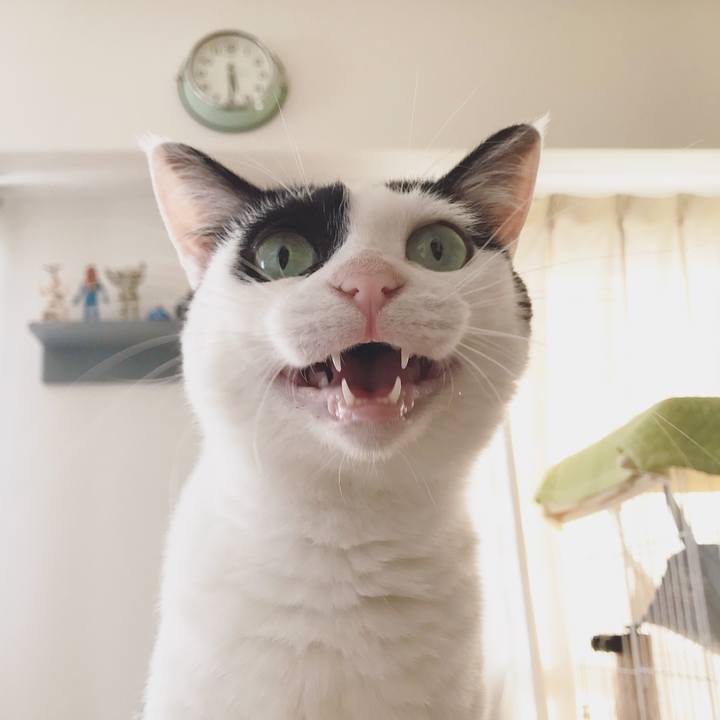 37383865 4588 41be b1ef 52534dbdaf3f 1560673654991