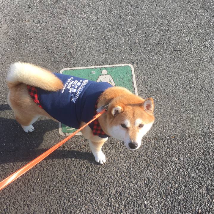 37383cba 91b1 4acd 9b94 8bdd51e78c8d 1546928744301