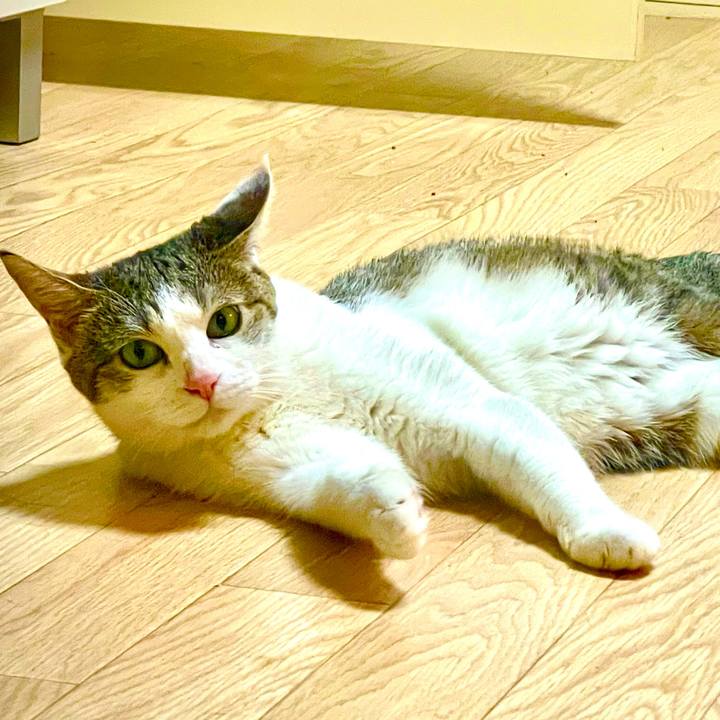 3738446e 8fe1 4a69 ba5d f29e2b2ef92d 1626182045410