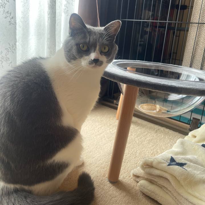 37384b7b 1594 4fbf a6a3 a540db6beae7 1737940807614