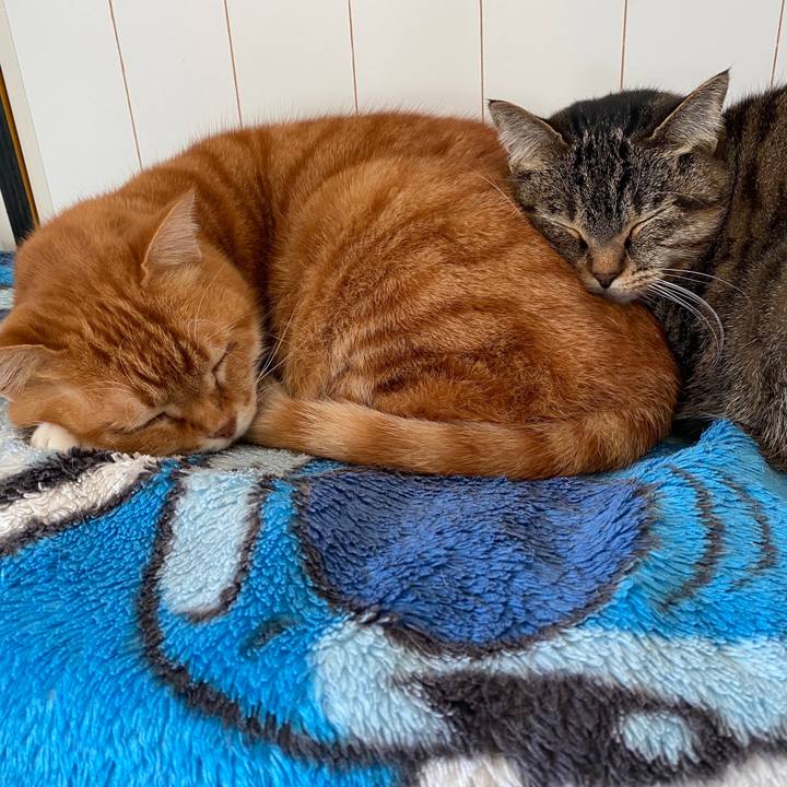 373851c9 27b7 4846 8806 30e72c658d21 1578111177474