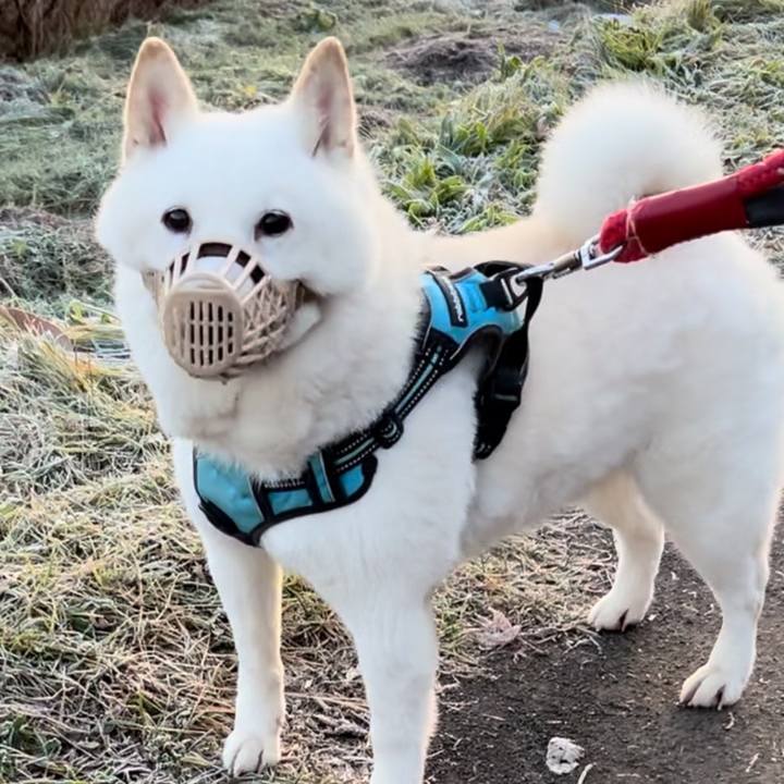 37386d69 3366 4d61 84dd f86b920e8b8e 1732581112612