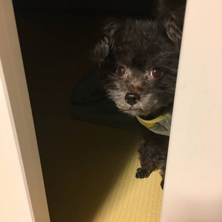 3738733c e6cb 4f2b 8858 8a513a284a31 1522475224717