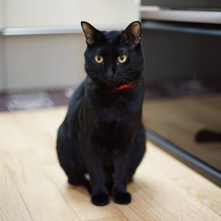 37387add 9dfd 4677 9939 348dc7b20c53 1515420467150