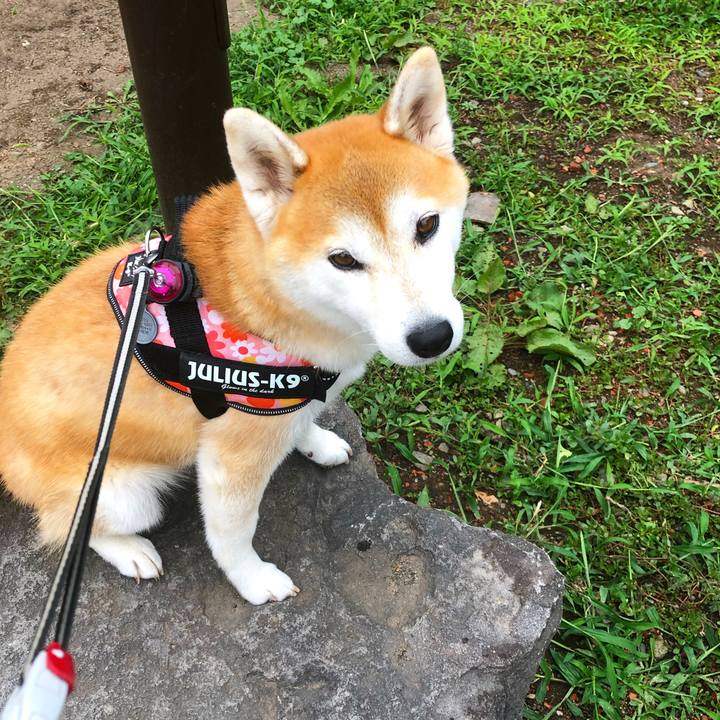 37389c03 6ef0 4b44 86a5 3fb7f1e81633 1597653327489