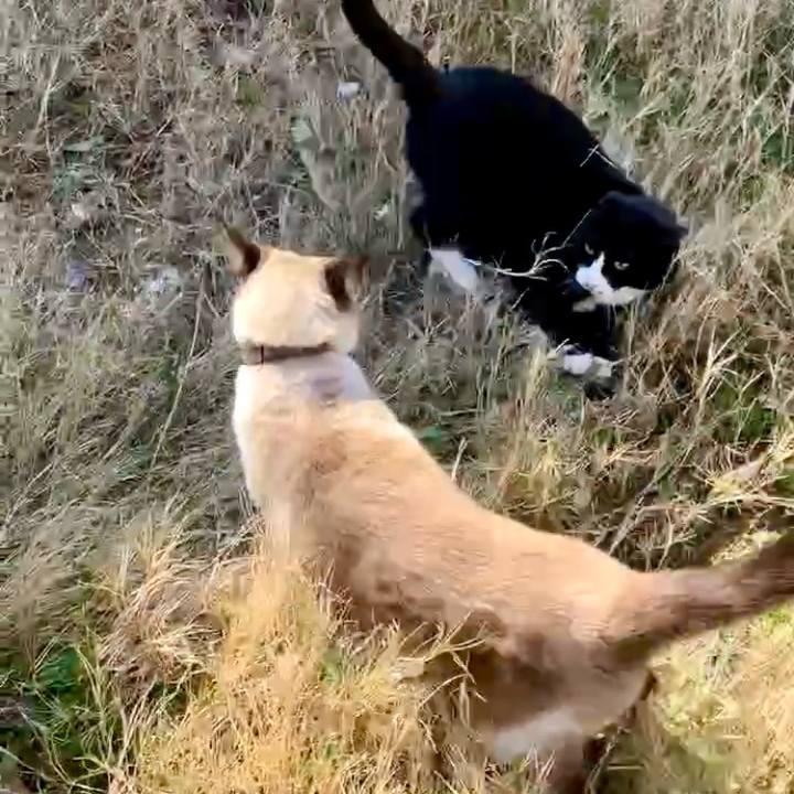 3738db64 b6fc 49d8 8497 7c2306c43063 1742435021932