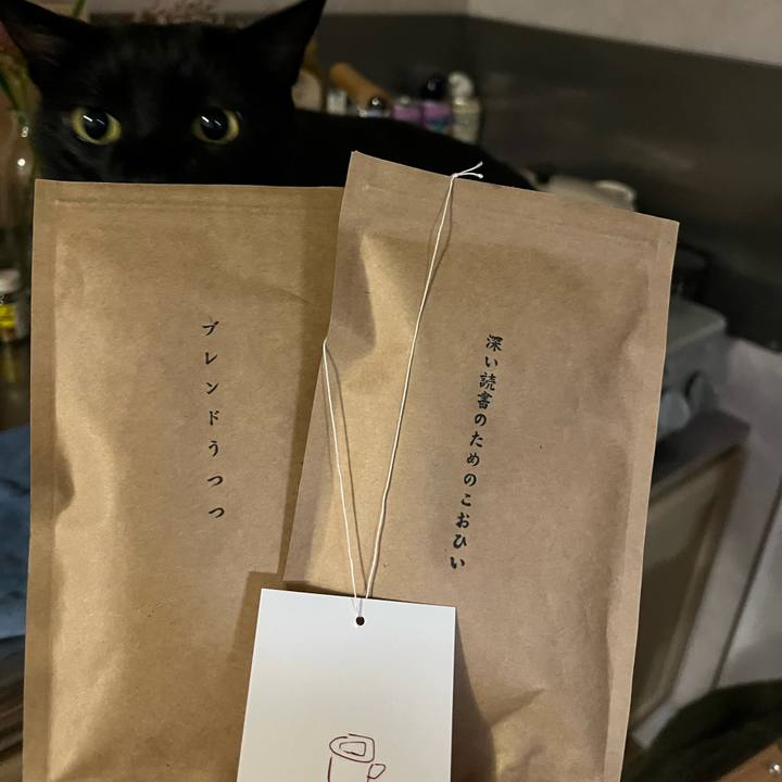 37395fb8 aade 431d af87 5e5f23100d32 1758456734830