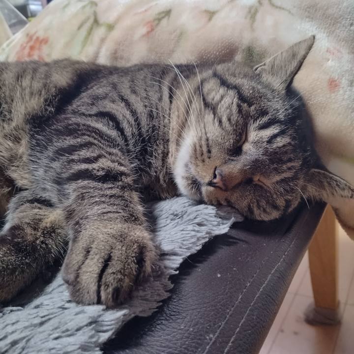 373985da aa55 468d 8d70 49195d11f60f 1672710592081