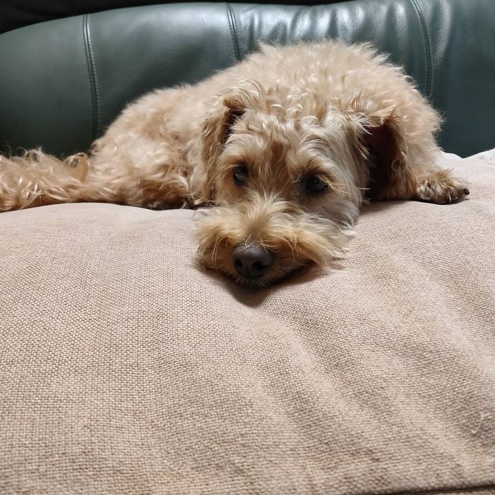 3739d469 f38d 40f6 9095 42148c13dd65 1598748310079