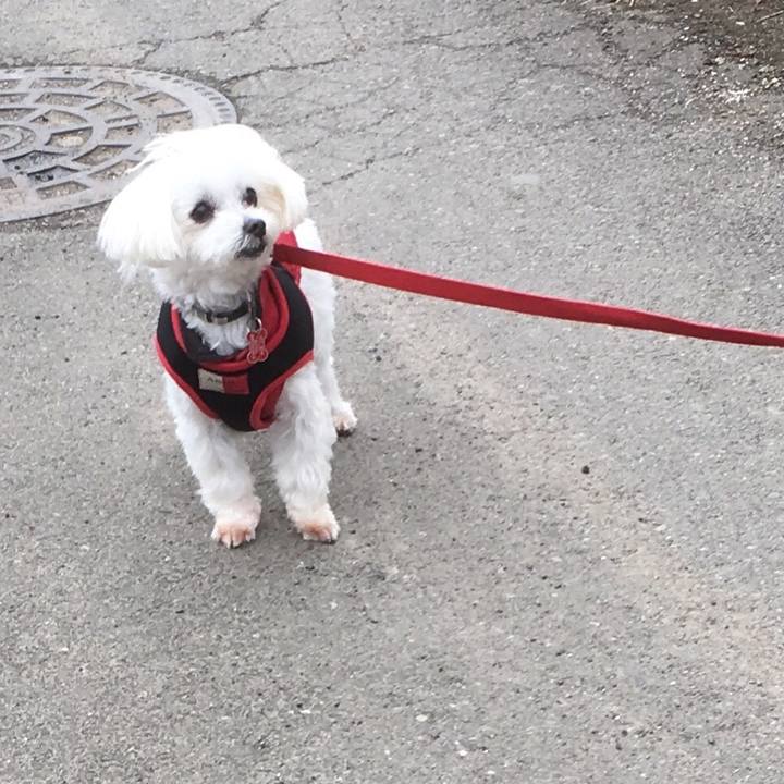 3739de24 38bb 4a6f 8256 f4075a1e92b2 1521622409637