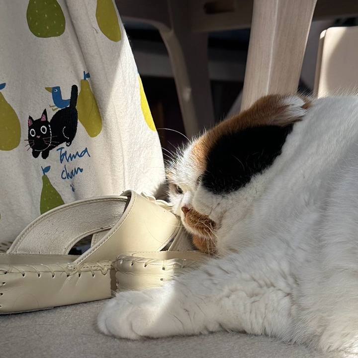 3739e0f8 1958 449f 85ff 2f41ea99cccf 1709686282555