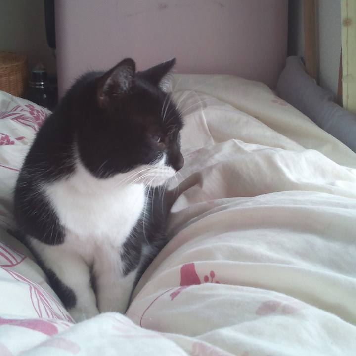 373a16c1 506a 4772 a5ed e0d7fa266f64 1518408131474