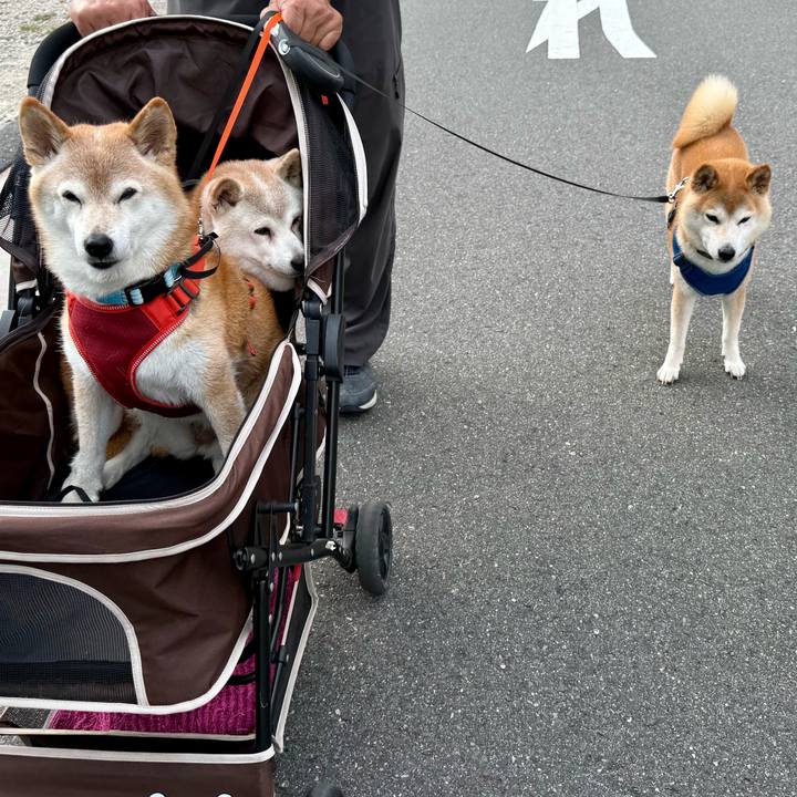 373a3003 521a 4387 a585 31e0bbb8120e 1758469909085