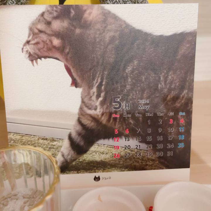 373a7bcc eac0 4a69 b372 80d9e15aafe8 1714562530491