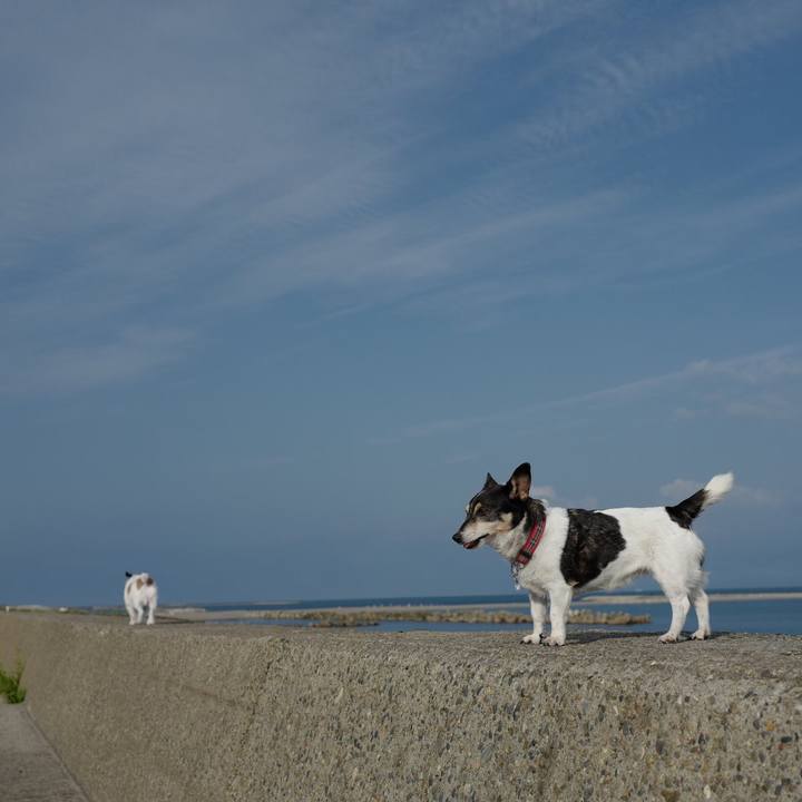 373adf22 5a87 4480 8629 d853ba426ba5 1567220022979