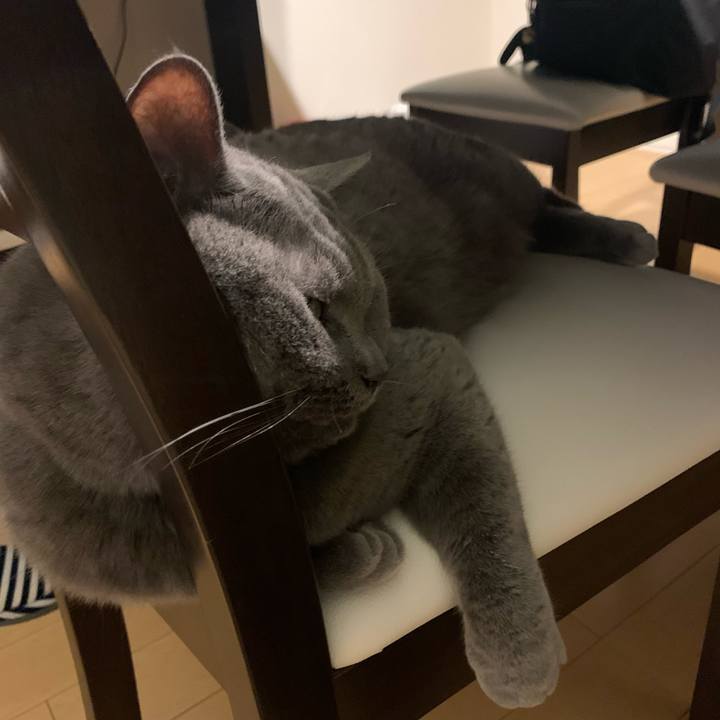 373b2cfb 54a4 4449 9afa 71031e790b52 1673272914051