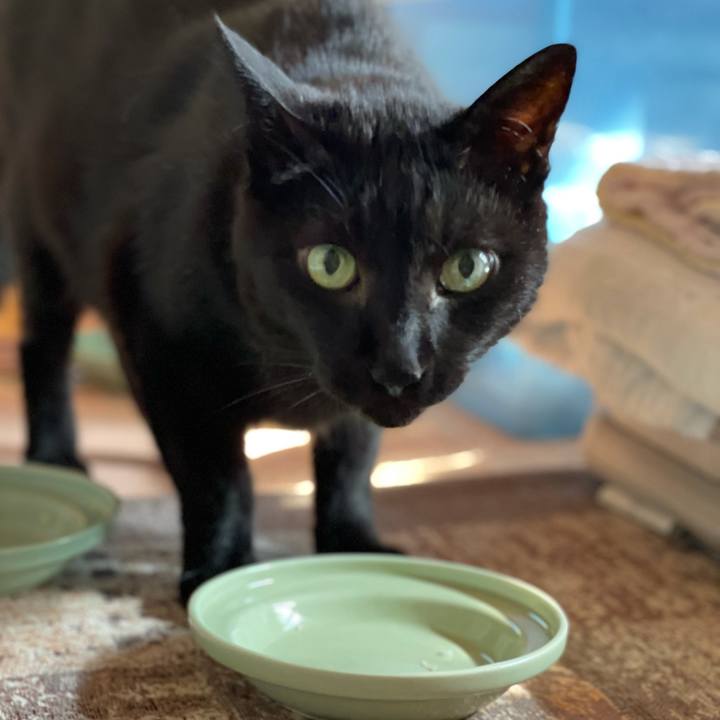 373bce5f 135b 477a 8e8d 10249dde2f9f 1627091009493