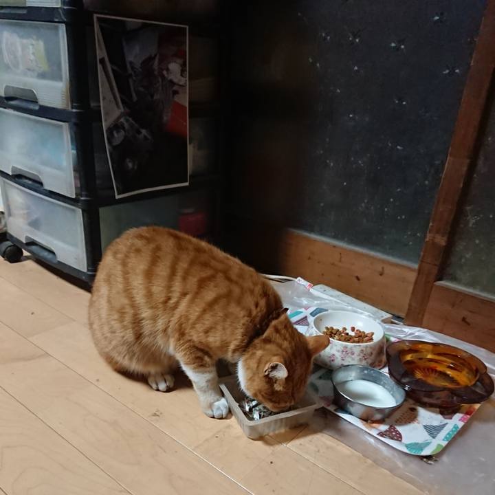 373bf5bd a365 4d55 b4dc 3fc845378380 1605296780612